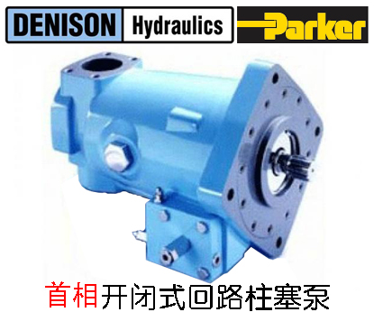 丹尼遜柱塞泵的表面粘涂原理與特點什么呢？